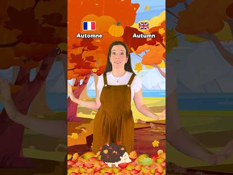 Les 4 saisons, the four seasons 🍂🍄 #english #french #learning