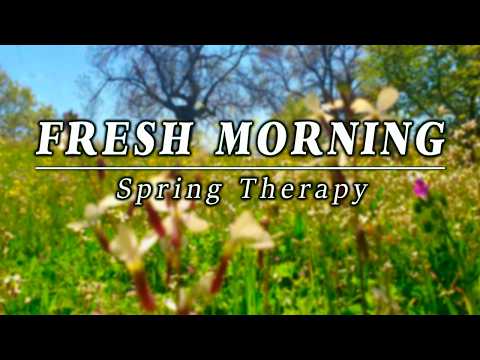 🌳Fresh Morning🌷Healing Frequency Spring Sounds with Soft Birdsong | Nature Therapy to start your Day