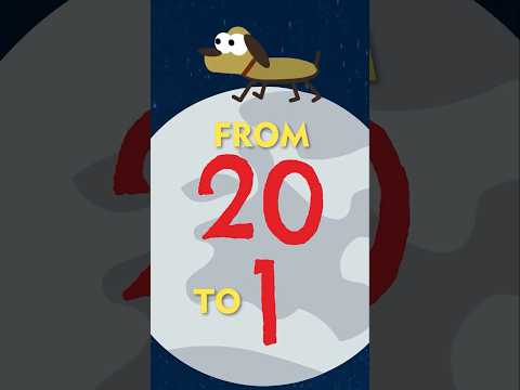 Counting Down With A Space Dog: 20 To 1 Practice Song! #mathsong #mathforkids #countingdown