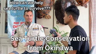 The Shocking Truth about Sea Turtles: Insights from an Australian Conservationist in Okinawa