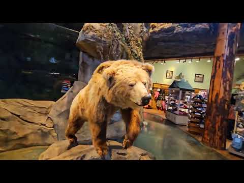 Inside Arkansas's Insane Bass Pro Shops #arkansas