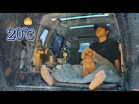 40℃ Solo Car Camping in Heat Wave . Cozy Relaxing with My Dog . ASMR