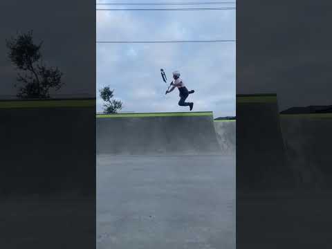 Bri Flip clean