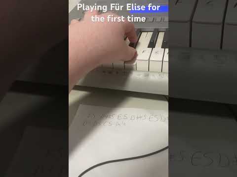 Playing Für Elise #playinginstruments