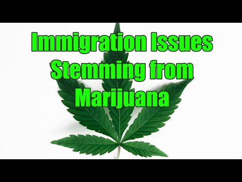 Immigration Issues Stemming from Marijuana