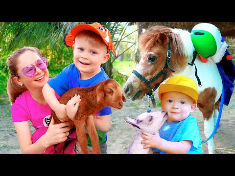 Oliver at the Zoo and Farm + More Animal Videos for Kids