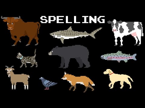 Animal Spelling - The Kids' Picture Show