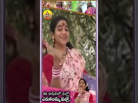 అడవిలో వల్లో ఎరుకలమ్మ #devotional #telanganadevotionalsongs #yellamma #yellammasongs  #youtubeshorts