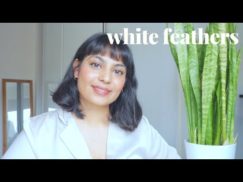 The Meaning Behind Seeing White Feathers ✨