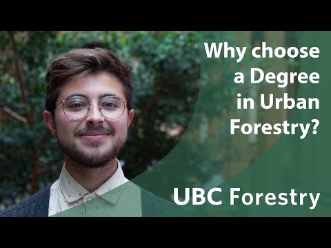 Bachelor of Urban Forestry at UBC Faculty of Forestry