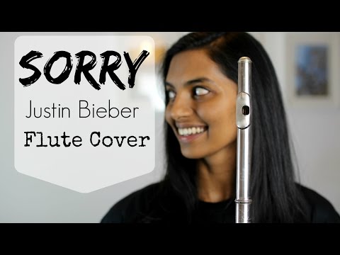 Sorry - Justin Bieber Flute Cover