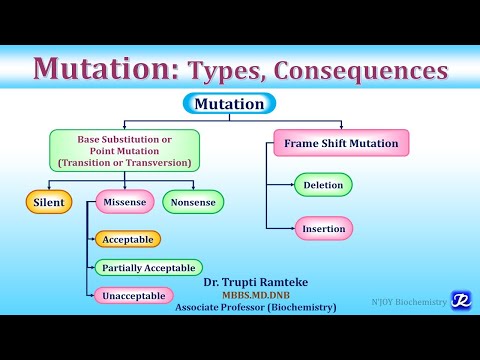 Mutation: Types & Consequences | Molecular Biology | Biochemistry | N'JOY Biochemistry