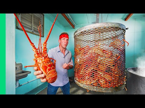 I Ate Every Seafood Caught in the USA!!