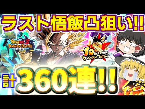 【ドッカンバトル#755】これが最後の10周年超2少年悟飯凸狙いガチャ!!!　頂伝説降臨祭計360連でなんと悟飯が…!?